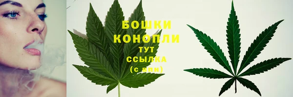 стафф Киреевск