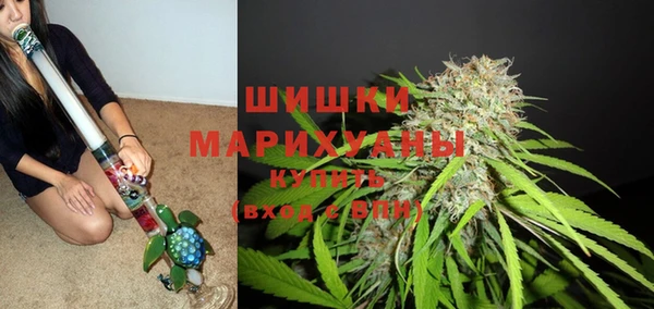 мет Корсаков