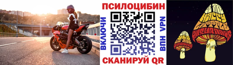 закладка  Краснознаменск  hydra рабочий сайт  Псилоцибиновые грибы GOLDEN TEACHER 