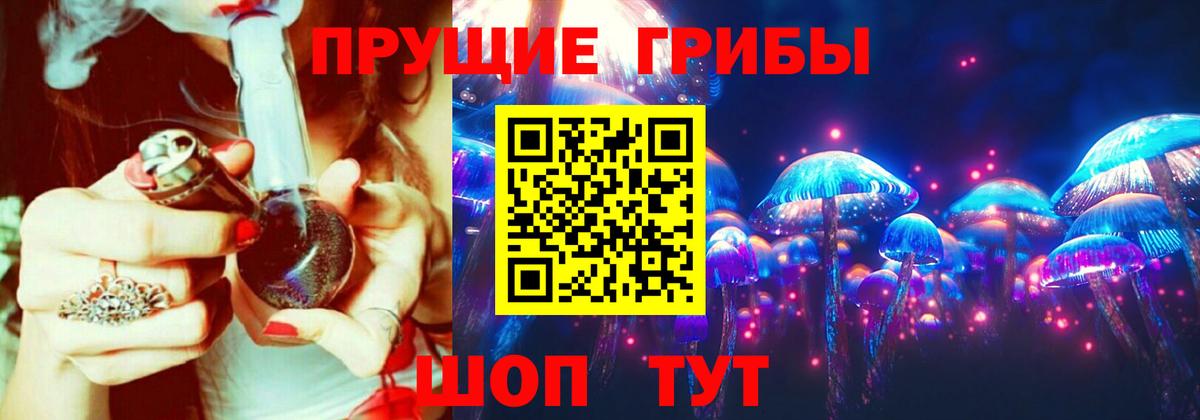 Галлюциногенные грибы мицелий  Вход с VPN  Краснознаменск  Галлюциногенные грибы GOLDEN TEACHER 